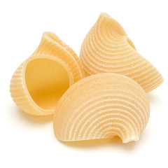 Italian lumaconi isolated on white background. Lumache, snailshell shaped pasta.