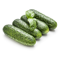 Cucumber vegetable and basil leaves isolated on white background cutout
