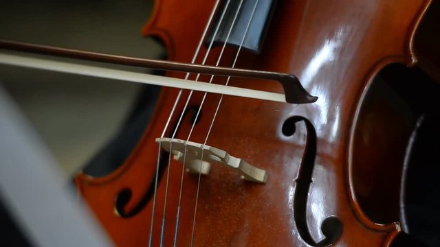 play the violin close-up 