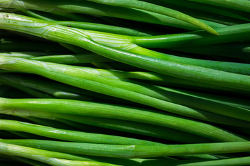 Close up fresh young onion,bunch of fresh shallots,Fresh chives, fresh young onion,green onions feathers heap macro surface texture,Bunches of spring green shallots scallion onions 