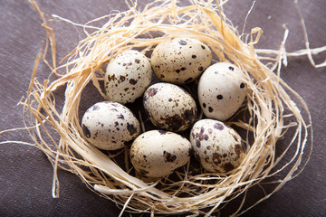 Quail eggs in a nest on a rustic wooden background. Healthy food concept.