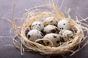 Naklejka na ściany i meble Quail eggs in a nest. Healthy food concept.