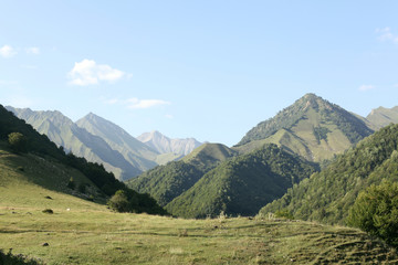 Fototapeta na wymiar Meadow in Caucasus mountains , Georgia
