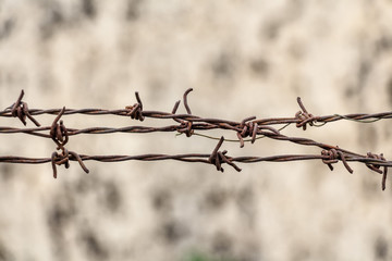 Close up of barbed wire