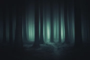 Gardinen dunkler und unheimlicher Wald © mimadeo