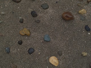 Fototapeta na wymiar 海岸に打ち上げられた小石