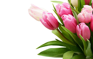 Obraz premium Pink tulip flowers bouquet