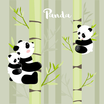 Pandas climbing the bamboo trees, vector illustration