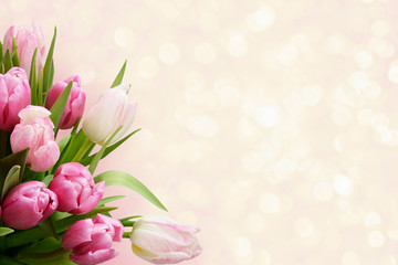 Pink tulip flowers corner