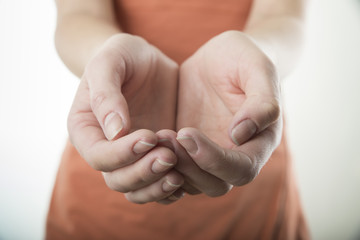 close up of womans cupped hands showing something