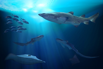 Ocean underwater with marine animals. 3D illustration