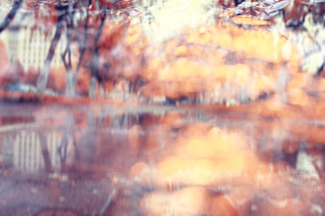 blurred background bokeh Orange autumn park