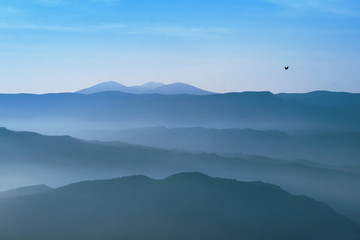 Flying bird over mountains of Canones de Guara in Pano, Huesca, Spain