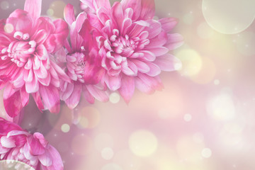 Pink flowers greeting card in pastel colors