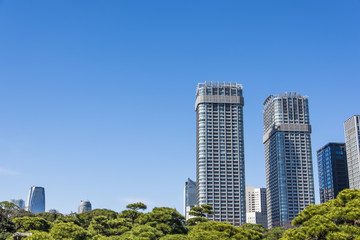 緑の中の高層ビル