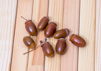 Heap of dried acorns