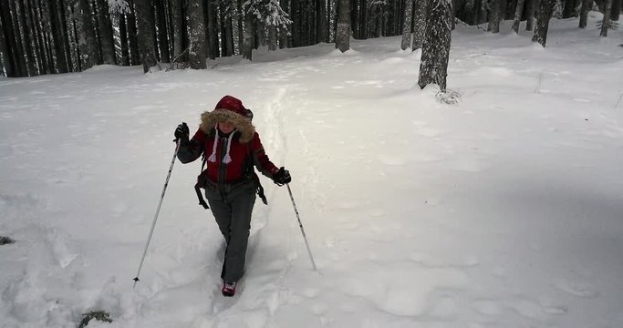 winter hiker in snow forest