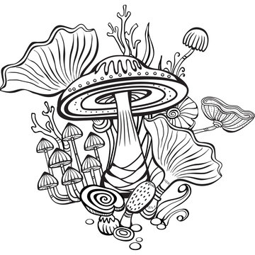 Coloring book page for adult with mushrooms