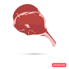 Realistic piece of meat on a bone color flat icon. For web and mobile design