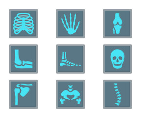 X-ray human skeleton bones flat icon