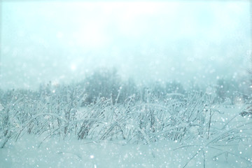 Winter forest blurred background snow landscape