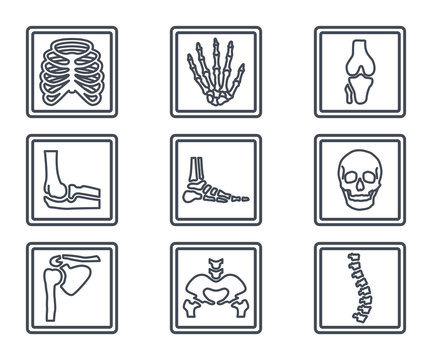X-ray human skeleton bones line icon