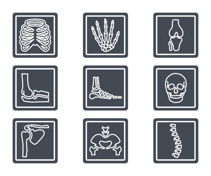 X-ray human skeleton bones silhouette icon