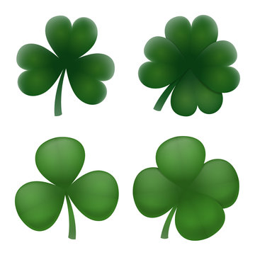 Realistic clover green leaves set.
