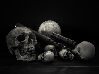 Still life skull