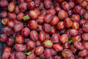 Overhead Shot of a Heap of Red Plums for Backgrounds