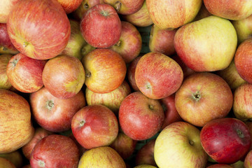 Overhead Shot of a Bunch of Ripe Apples for Backgrounds