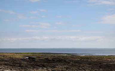 Roches et sédiments à la Ponte de Penvins.