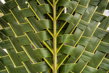 Natural texture made from coconut leaf.