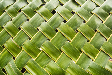 Natural texture made from coconut leaf.