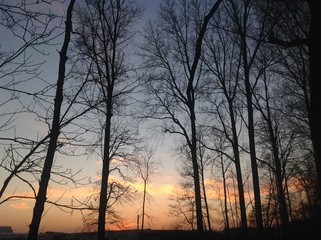 Obraz premium The beautiful sunset 