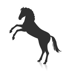 Fototapeta na wymiar Rearing Grey Horse Illustration in Flat Design