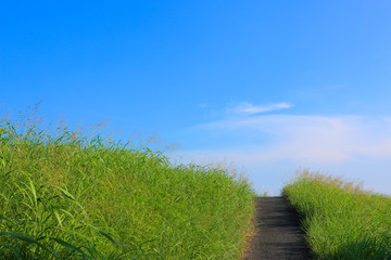 土手と青空