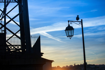 Silhouette of street lamp and bird, against the evening sky.