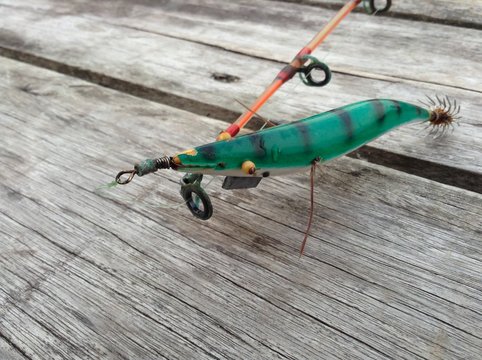 Fishing tackle,squid leisure 