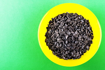 sunflower seeds in a sunflower flower