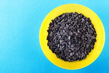 sunflower seeds in a sunflower flower