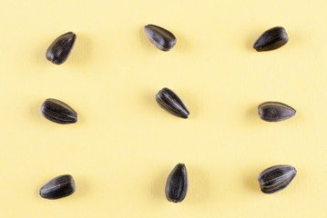sunflower seed decomposition separately on a yellow background