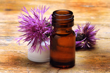 Scabiosa Centaurea Cyanus segetum Fiordaliso Aciano Cornflower Azulejo Kornblume Pincel Bleuet قنطريون عنبري Garðakornblóm דרדר כחול Chaber bławatek Василёк синий 矢車菊 Albăstrea ヤグルマギク 