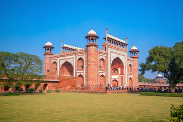 Fototapeta na wymiar Details of decorations in Taj Mahal