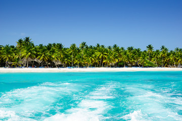 Palmenkustlijn op Caraïbisch strand, Eiland Saona