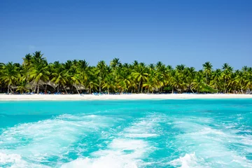 Acrylic prints Caribbean Palms coastline on caribbean beach, Island Saona