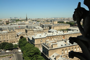 Gargouille et Paris vue de la Cathédrale Notre-Dame à Paris