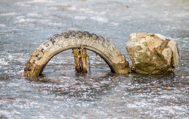 Fototapeta premium frozen tires on the ice 