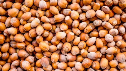 Nuts. nuts background pattern. Texture