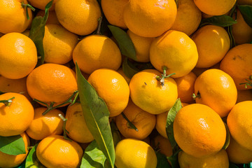 Mandarines background. Oranges. Fresh Clementines
